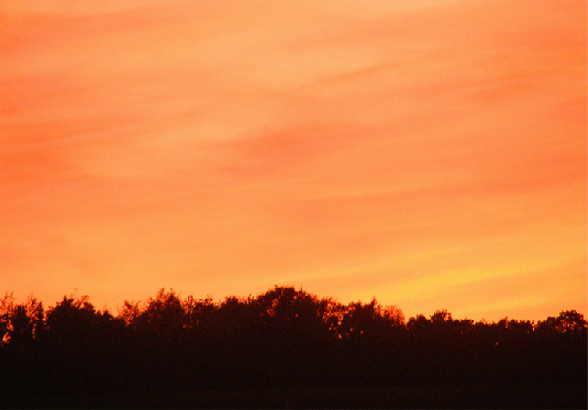 2009-10-adof-Sonnenuntergang - Odenwald