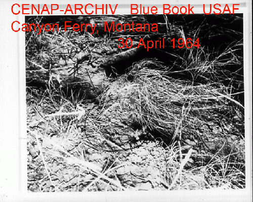 1964-04-ca-Blue Book - USAF