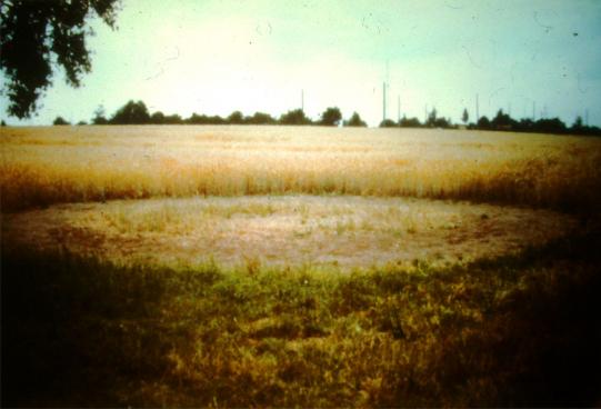 1977-10-dec-Pferde-Kreis-Foto für Landestelle Fall Speyer