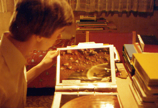 1977-11-aa-Hansjürgen beim Archivieren von Fotos der NASA- Mars-Sonde-Viking