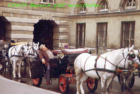 1979-07-bl-"nur einer verschlief den Besuch von CENAP in Wien...."