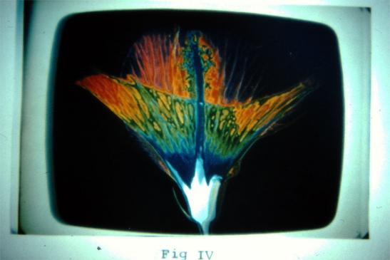 1979-08-g-Mit GSW-Computeranalyse  auf Foto-Fälscherjagd mit Erfolg z.B. bei Billy Meier