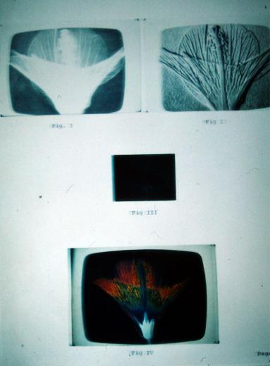 1979-08-ga-Mit GSW-Computeranalyse  auf Foto-Fälscherjagd mit Erfolg z.B. bei Billy Meier