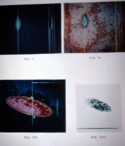 1979-08-gb-Mit GSW-Computeranalyse  auf Foto-Fälscherjagd mit Erfolg z.B. bei Billy Meier