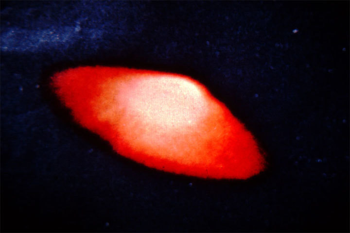 198--ufo-bild-1