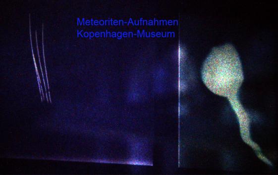 1981-08-mb-Naturkundemuseum-Kopenhagen