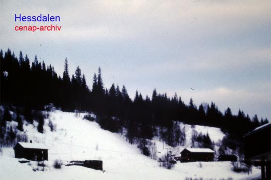 1982-02-hab-Hessdalen