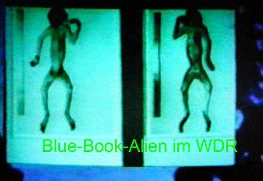 1987-05-zzb-WDR-Sendung - Blue-Book-Alien welcher ein Rhesus-Affe war