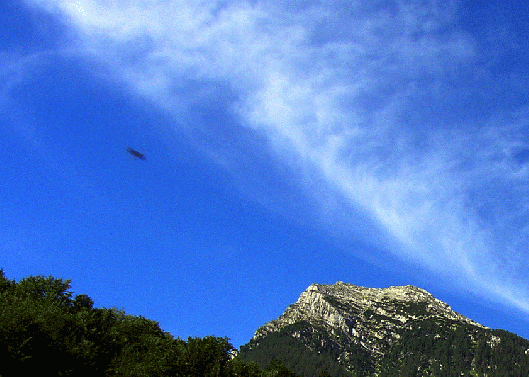 2004-08-kg-UFO bei Hoher Gu00f6ll - aber auch nur ein Insekt im Nahbereich der Kamera