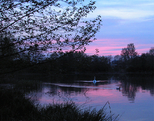 2006-04-ia-Sonnen-Untergangsstimmung-Vogelstangsee