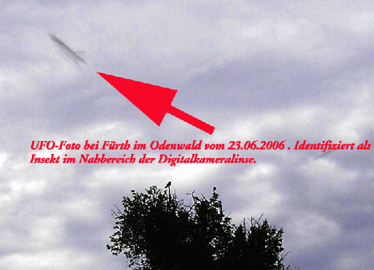 2006-05-ht-verwischte Insektflugbahn