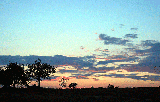 2006-07-bg-Sonnenuntergang-bei Vielbrunn-Odw