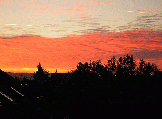 2006-11-ad-Sonnenaufgang-Mannheim