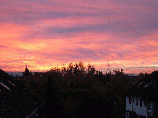 2006-11-ia-Sonnenaufgang-Mannheim