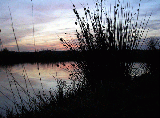 2006-11-ml-Sonnenuntergang-Odenwald