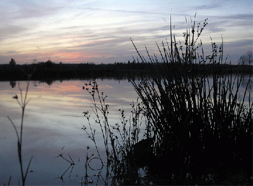2006-11-mm-Sonnenuntergang Odenwald