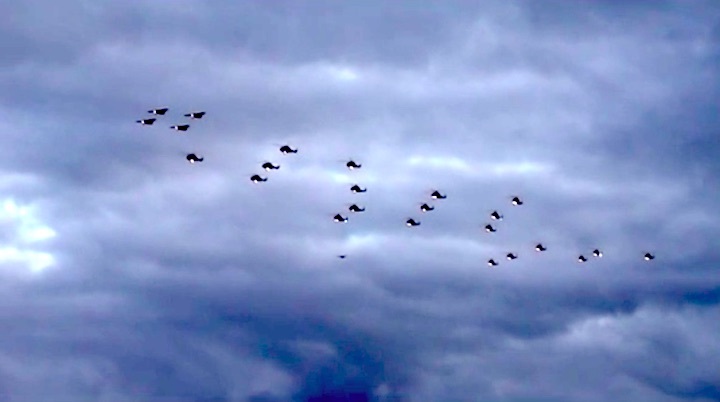 2006-helikopter-formation-af-1