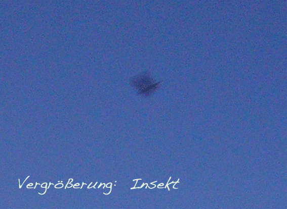 2007-04-awba-Vergru00f6u00dferung des Insekteneinfluges von Venus+Mond-Foto