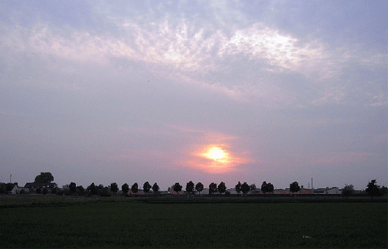 2007-04-be-Sonnenuntergang bei Mannheim-Feudenheim