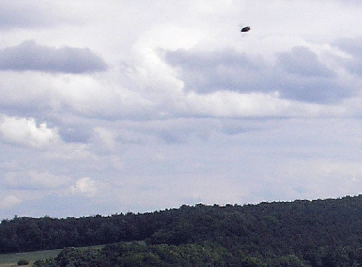 2007-05-dabk-Insektendurchflug-Ausschnitt