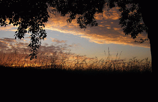 2007-05-dadc-Sonnenuntergang bei Hengmantel-Odenwald