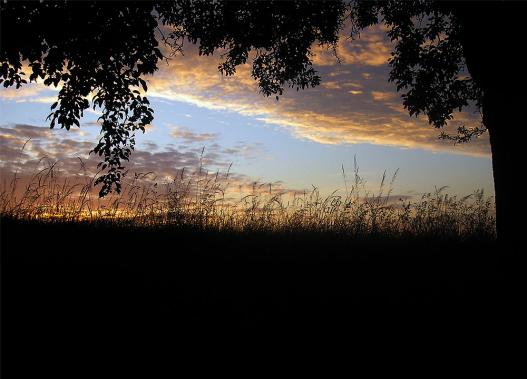 2007-05-db-Sonnenuntergang bei Breitenbrunn-Odenwald