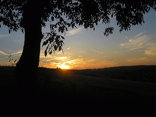 2007-06-eec-Sonnenuntergang - Odenwald