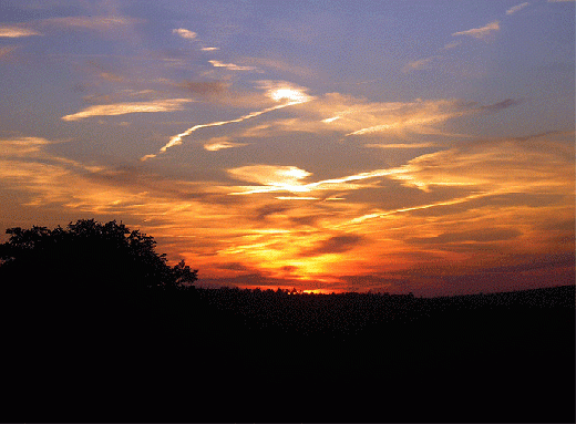 2007-06-eecf-Sonnenuntergang bei Breitenbrunn - Odenwald