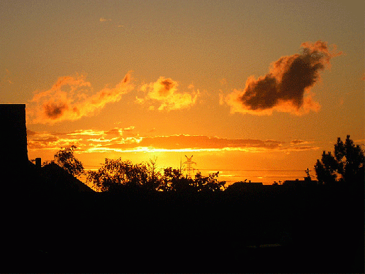 2007-06-gau-Sonnenuntergang - Mannheim