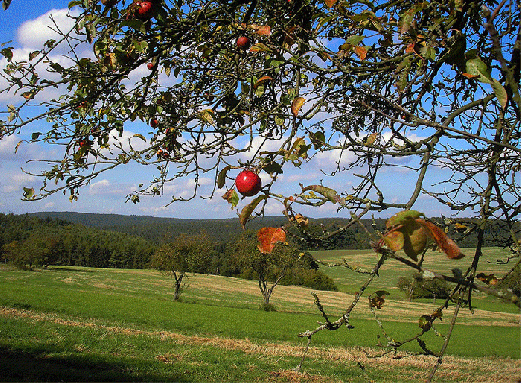 2007-09-eaja-Spessart-Anhu00f6he