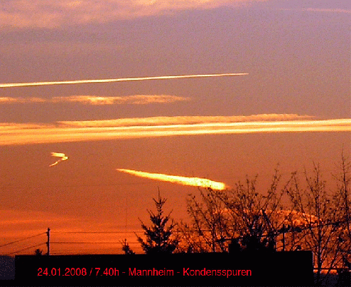 2008-01-24-Kondensstreifen vor Sonnenaufgang - Mannheim