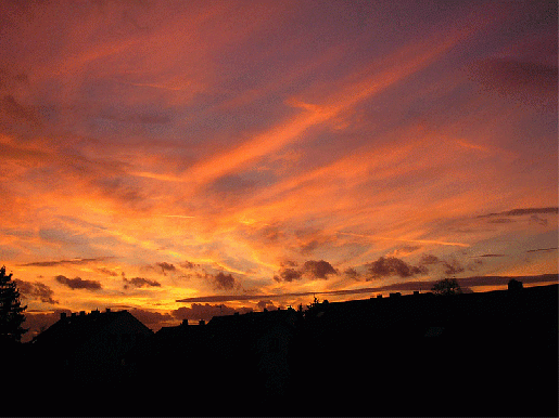 2008-01-hc-Sonnenuntergang über Mannheim