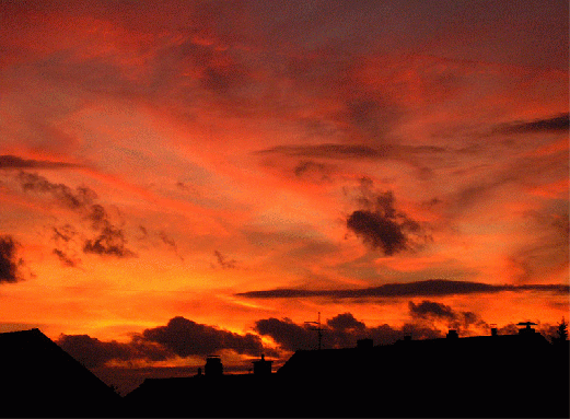 2008-01-hcg-Sonnenuntergang über Mannheim