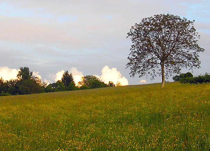 2008-05-fa-abend-wolken