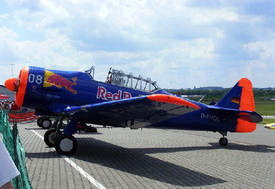 2008-06-hy-Red-Bull-Team