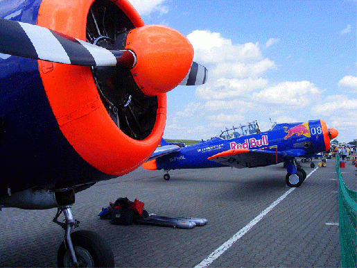 2008-06-hyc-Red-Bull-Team