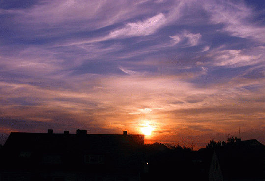 2008-07-bgf-Sonnenuntergang - Mannheim