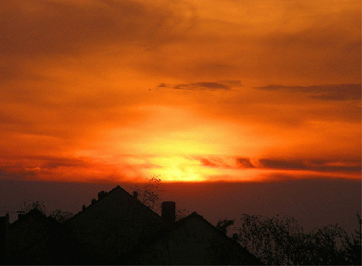 2008-07-bgfi-Sonnenuntergang - Mannheim