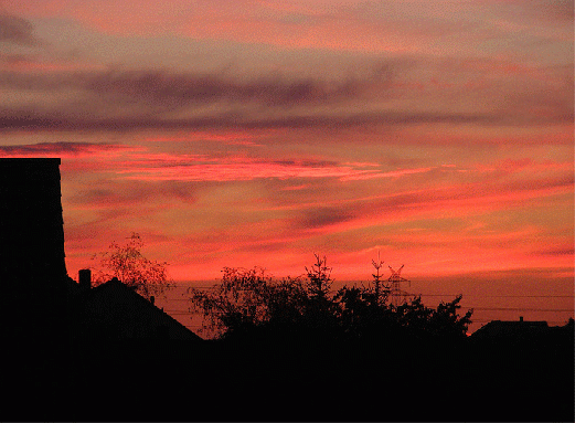 2008-07-ekj-Sonnenuntergang - Mannheim