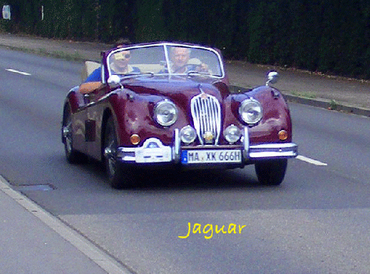 2008-08-bt-Jaguar