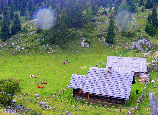 2008-08-gbi-Alm bei Villach Ku00e4rnten  - Orbeffekt durch feine Regentropfen auf Kamer-Linse