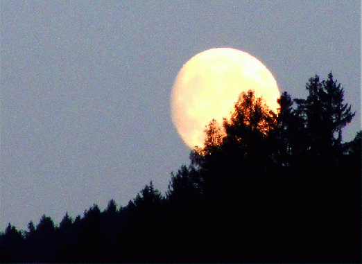 2008-08-gdkn-Mondaufgang u00fcber Gitschtal-Austria