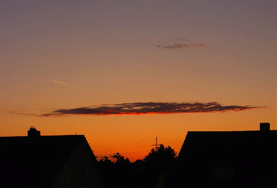 2008-09-dga-Sonnenuntergang - Mannheim