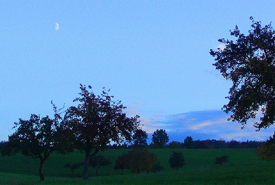 2008-10-bheb-Halbmond u00fcber Odenwald