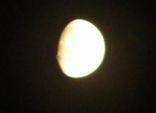 2008-10-cab-Mond
