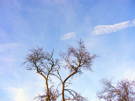 2008-10-ej-Kondensstreifen-Effekt - Odenwald