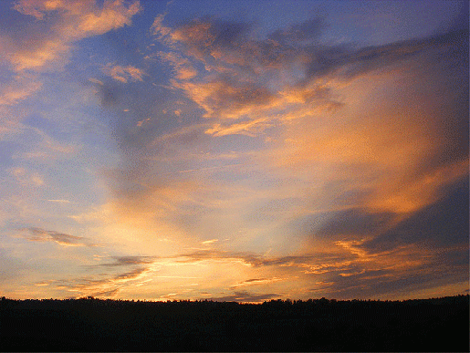 2008-11-azf-Sonnenuntergang - Odenwald