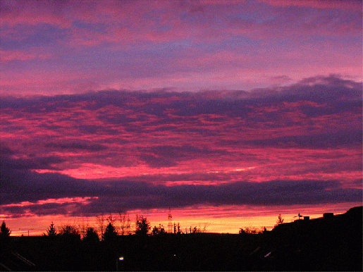 2008-11-ca-Sonnenaufgang - Mannheim