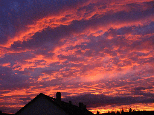 2008-11-cb-Sonnenaufgang - Mannheim