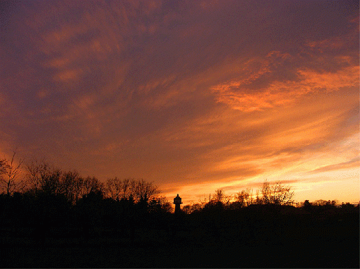 2008-11-cde-Sonnenuntergang bei Feudenheim